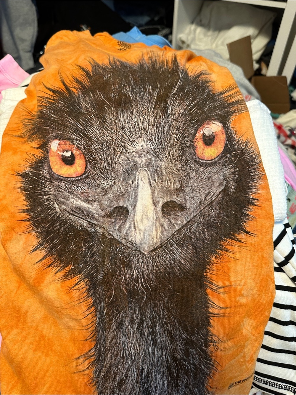 emu